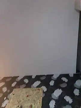 haetsaan Webbikameraesitys