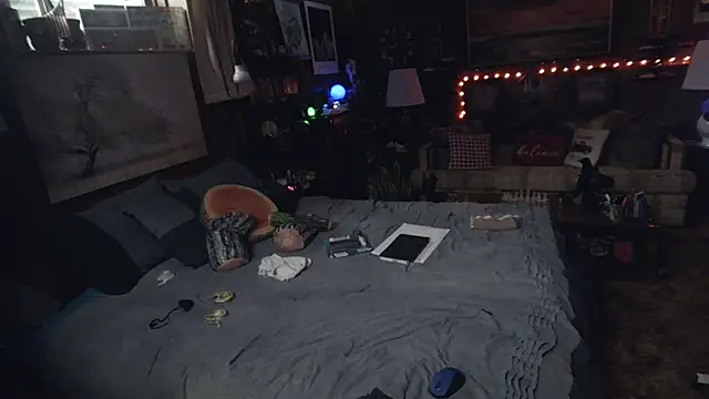 Show webcam de Makowboy