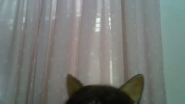 SkinnyKitten 现场XXX聊天