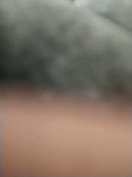 عرض كام mayii2