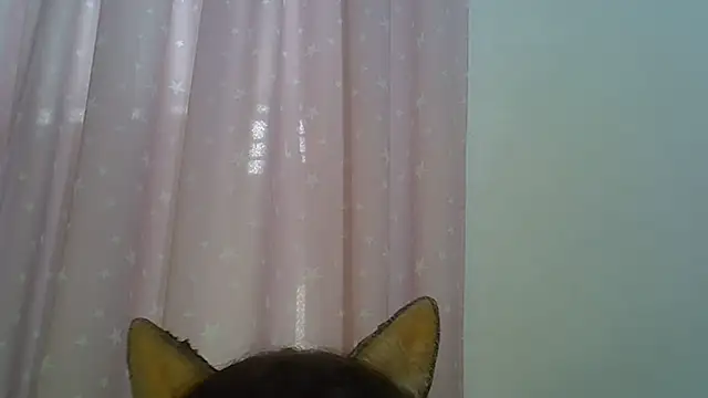Show de SkinnyKitten na webcam