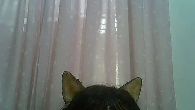 Chat +18 de SkinnyKitten ao vivo
