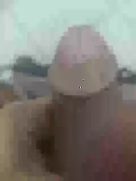 Stallionbull38 লাইভ XXX চ্যাট