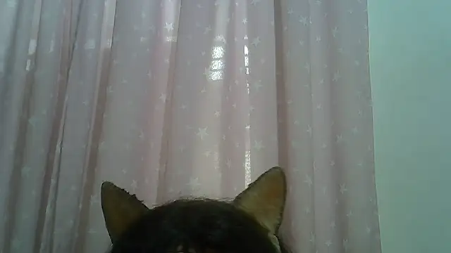 SkinnyKitten's Live XXX Chat