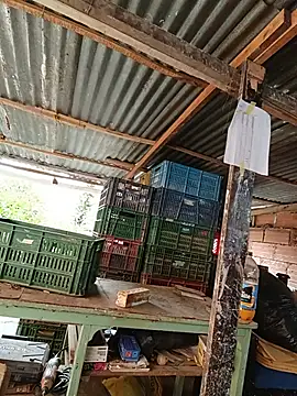Živý XXX chat hoteder