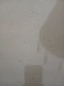 Tanha18 Obrolan Langsung XXX