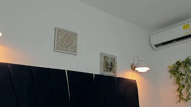 عرض كام ZAN_181