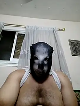 Zxcvbnm87ta 웹캠 쇼