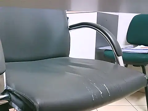 Gregcam Webcam show