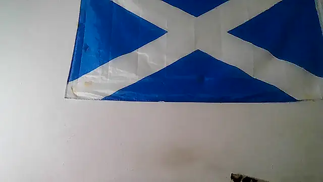 MissVegas Webcam show