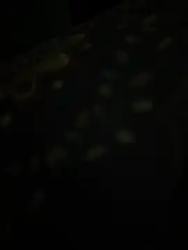 دردشة Riya_bhabhi_1 الجنسية المباشرة