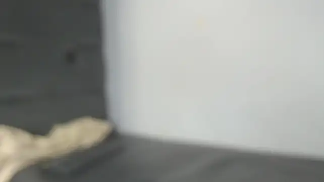 Amarantha_hanss - shake my ass
