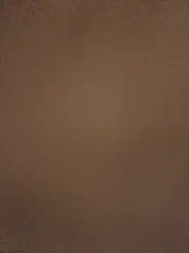Show de iRusx na webcam