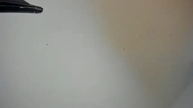red_moon_2 Live XXX-Chat
