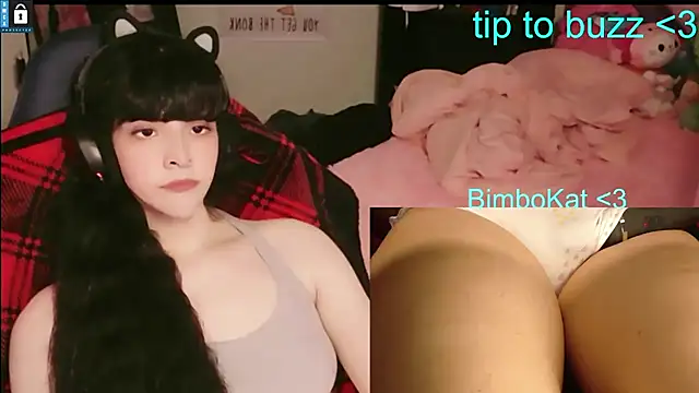 BimboCat Live XXX Chat