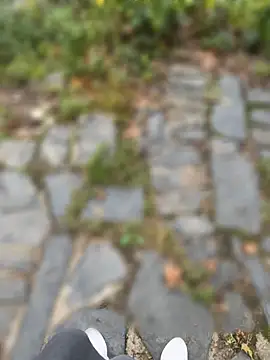 Letusmakeyoucum ওয়েবক্যাম শো