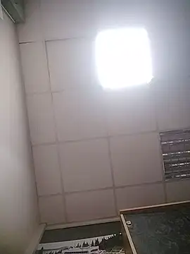 Lana-murr live XXX chat