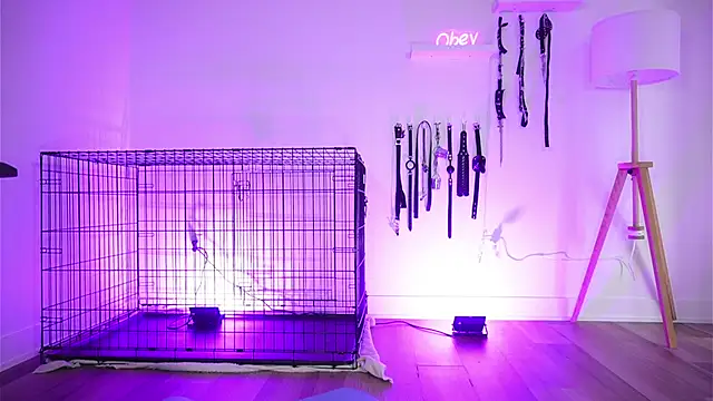 Eva-savage's Live XXX Chat