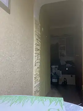 Frosl Webcam show
