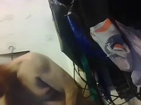 jamiemonroe163216's Live XXX Chat