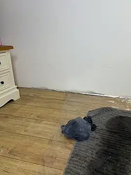 carlaaa 라이브 XXX 채팅
