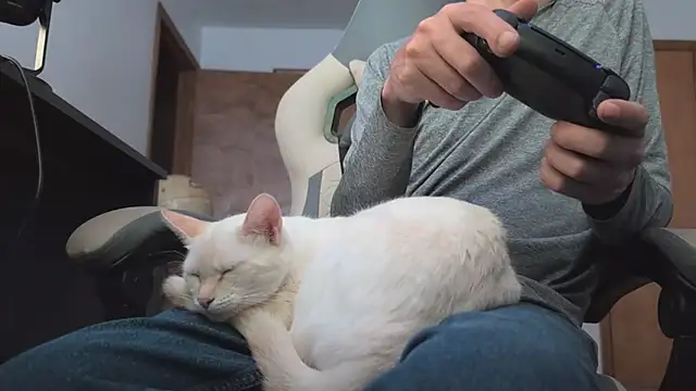 XXX chat uživo modela Opondestre00420