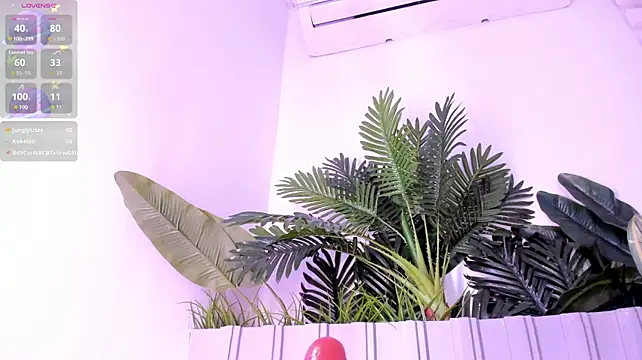 Živý XXX chat stephanymonroe