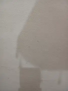 Tanha18 现场XXX聊天