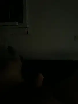 3toy___n Live XXX chat