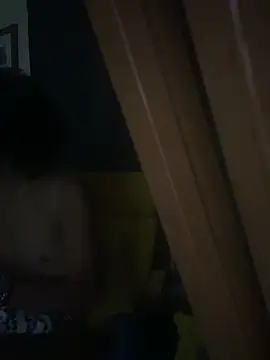 Show webcam de kiyomisade