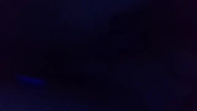 Show Webcam de jayquest