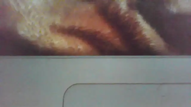 Chat XXX ao vivo de cobrosdepagos