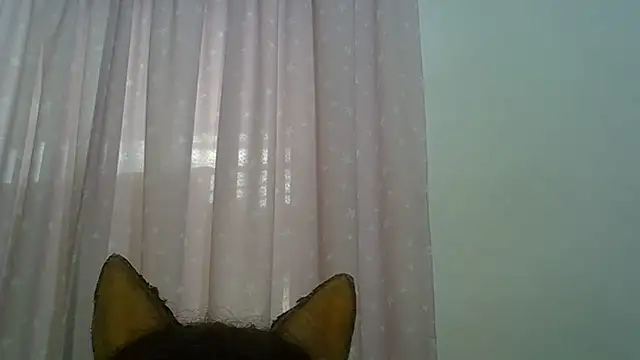 Show de SkinnyKitten na webcam