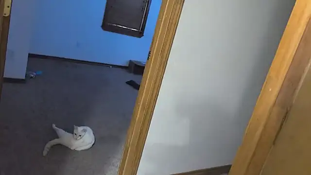 Živý XXX chat Opondestre00420