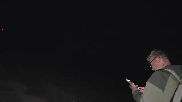 Chat XXX Live Vuitton