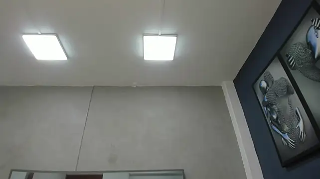 Charlie___Musk 라이브 XXX 채팅