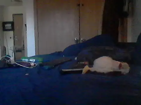 Silencio26's Live XXX Chat