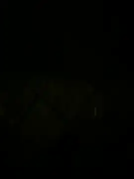 jdla Show Webcam