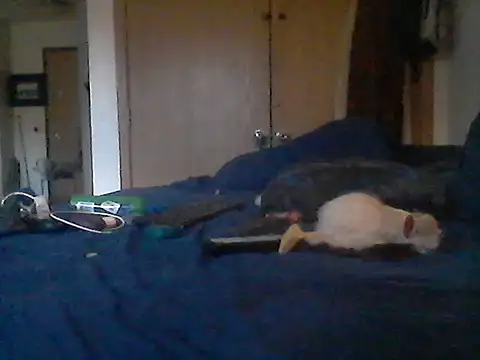 Silencio26 Pertunjukan Webcam