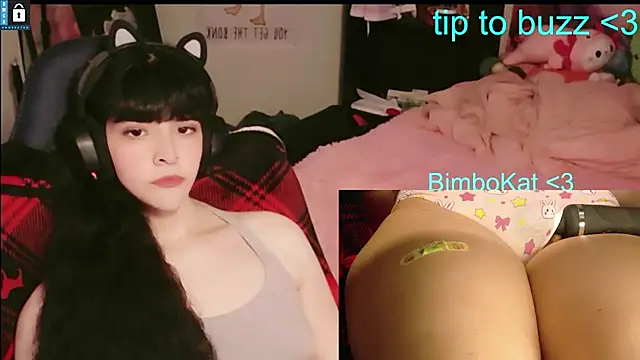 BimboCat: вебкам-шоу
