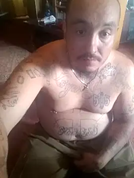 Dick4yourholes: διαδικτυακό σόου στην κάμερα