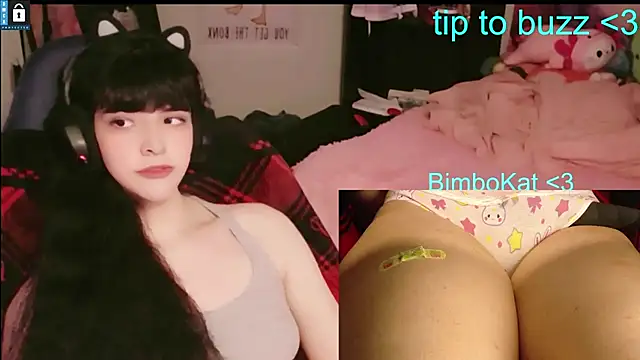 BimboCat Chat XXX in diretta
