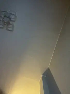 Webkamerová show koni91