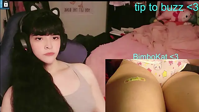 BimboCat: απευθείας συνομιλία ΧΧΧ