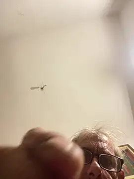 crisfootlicker Webcam show
