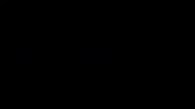 charlottee_white