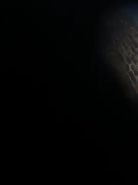 BaileyMFox élő XXX-chatje