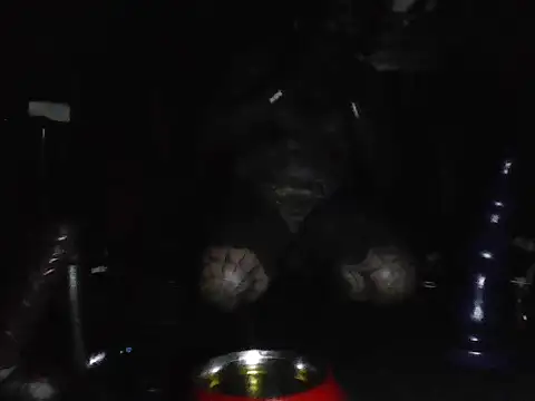 Chat XXX ao vivo de wormobject