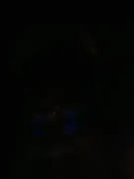 Delv000n Webbikameraesitys