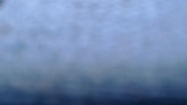 zamara_x Chat XXX live